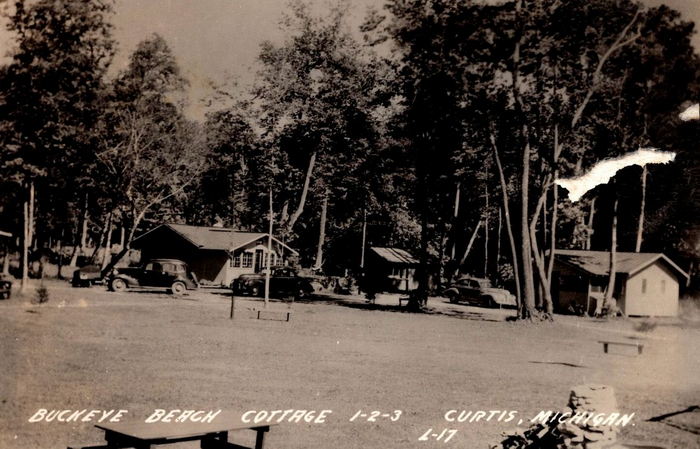 Curtis - Vintage Postcard (newer photo)